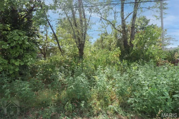 $10,900 | 501 West 5th Street, Dixon, MO 65459