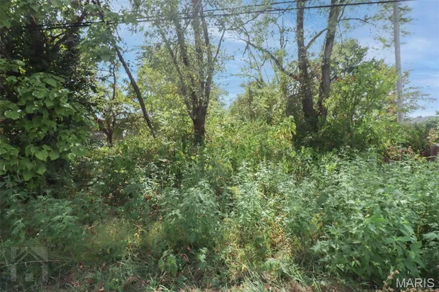 $10,900 | 501 West 5th Street, Dixon, MO 65459