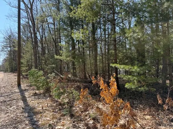 $10,000 | 7-11 Pershing Road, Baldwin, MI 49304
