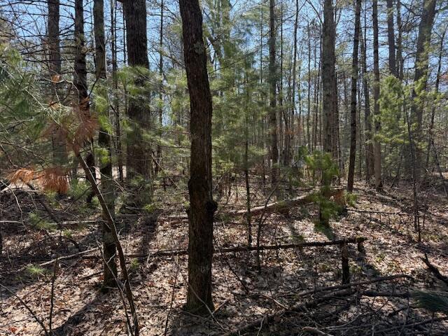 7-11 Pershing Road Baldwin, MI 49304 - Photo 2 of 5 IMG_5543