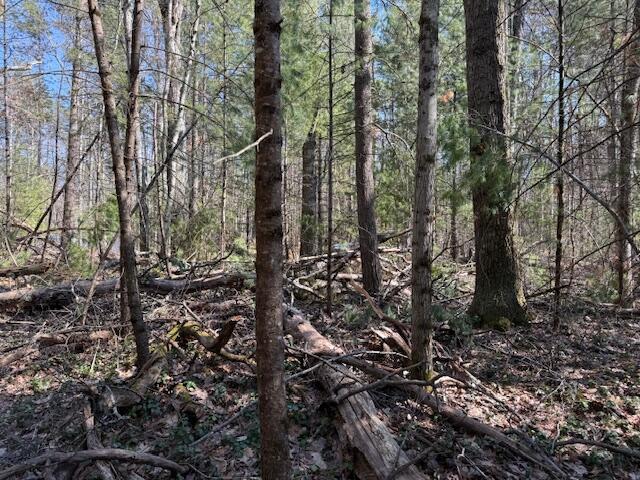 7-11 Pershing Road Baldwin, MI 49304 - Photo 3 of 5 IMG_5545