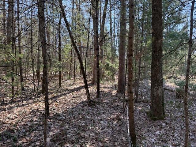 7-11 Pershing Road Baldwin, MI 49304 - Photo 4 of 5 IMG_5546