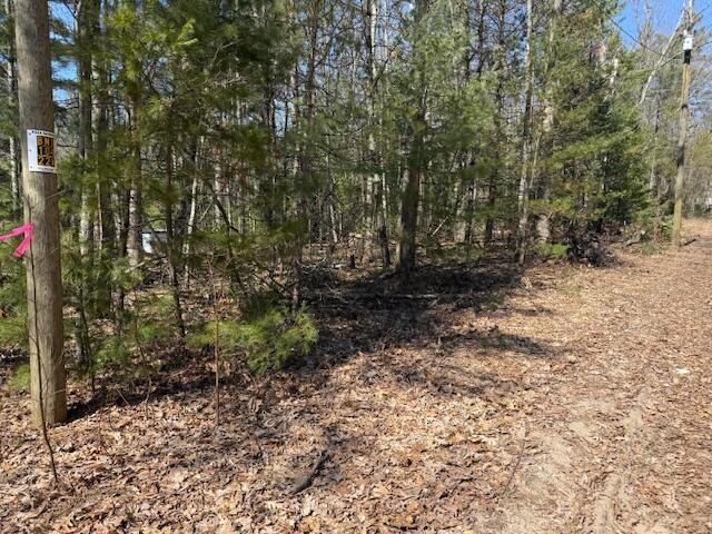 7-11 Pershing Road Baldwin, MI 49304 - Photo 5 of 5 IMG_5547