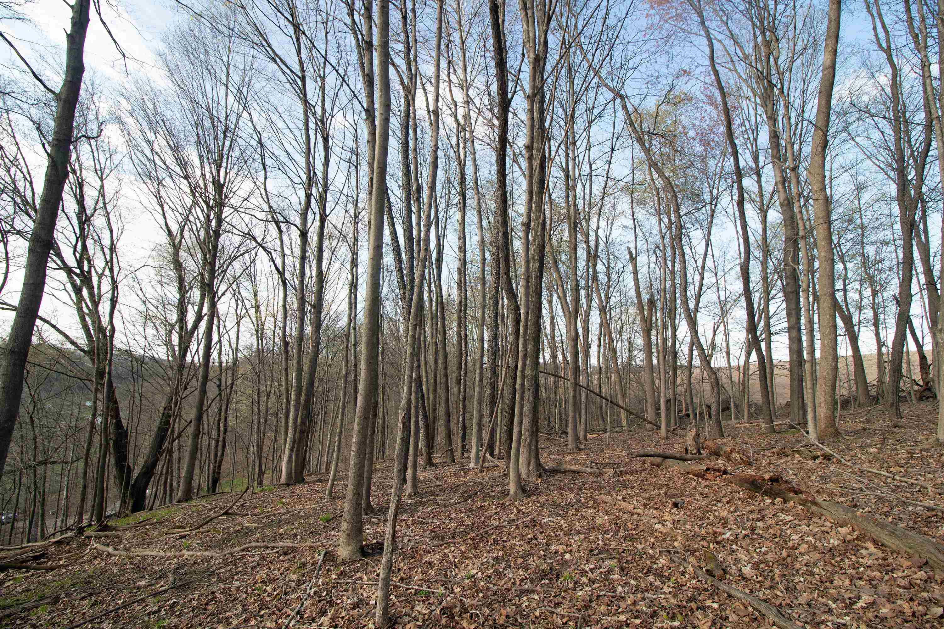 S8642 County Road North Plain, WI 53577 - Photo 28 of 36