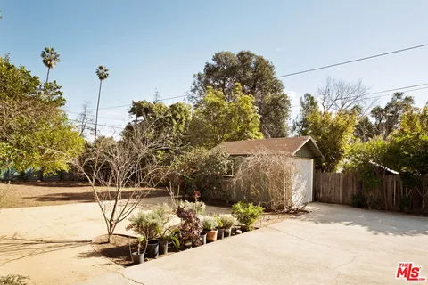 a view of a road with tall trees