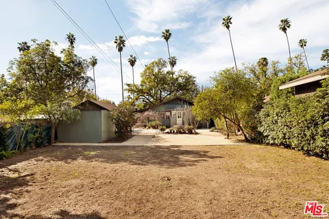 a view of a yard with plants