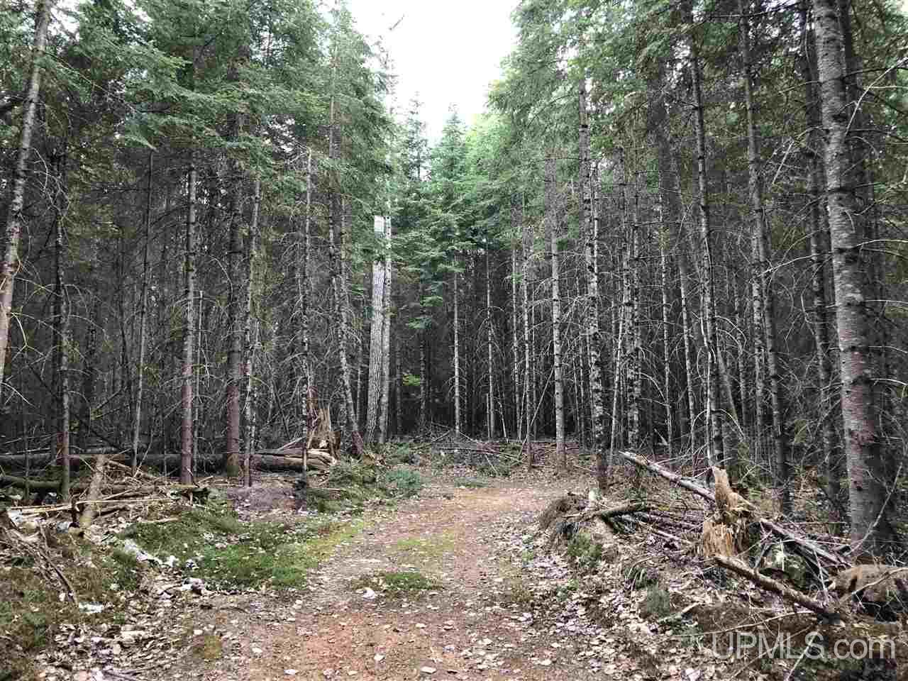 Tbd River Road, Unit PARCEL 3 Gulliver, MI 49854 - Photo 18 of 42