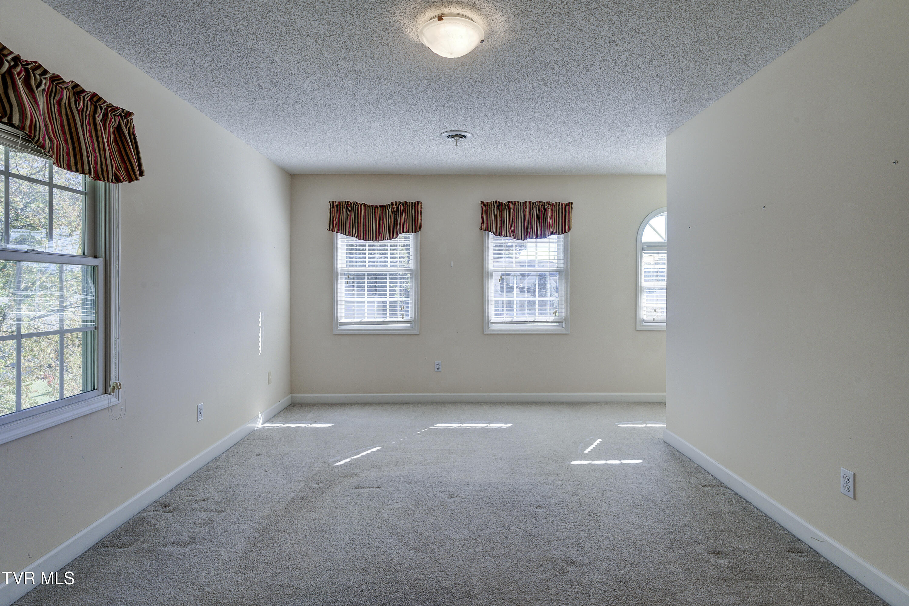 205 Reece Court North Jonesborough, TN 37659 - Photo 23 of 55 ReeceCt--22