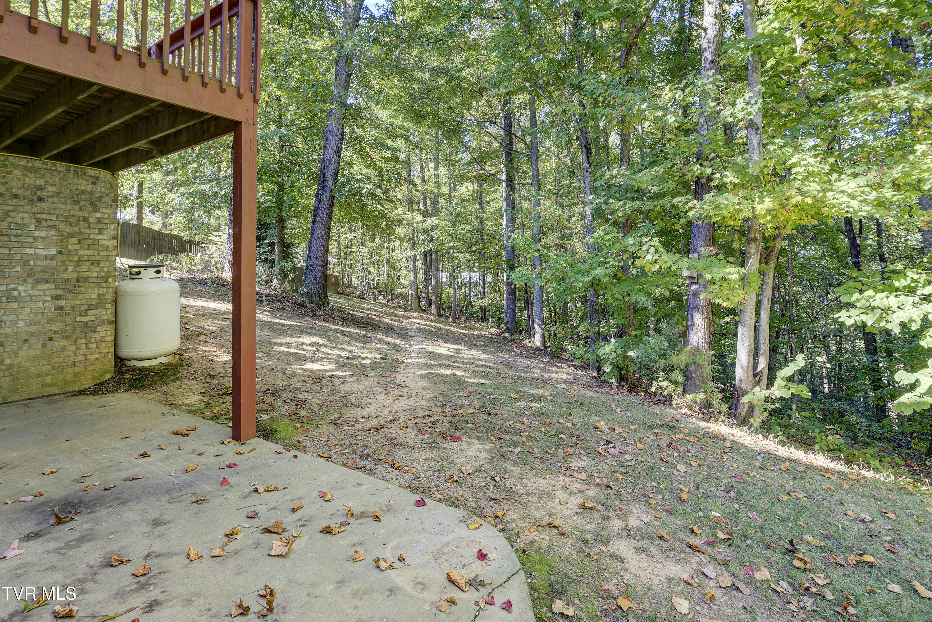 205 Reece Court North Jonesborough, TN 37659 - Photo 44 of 55 ReeceCt--43