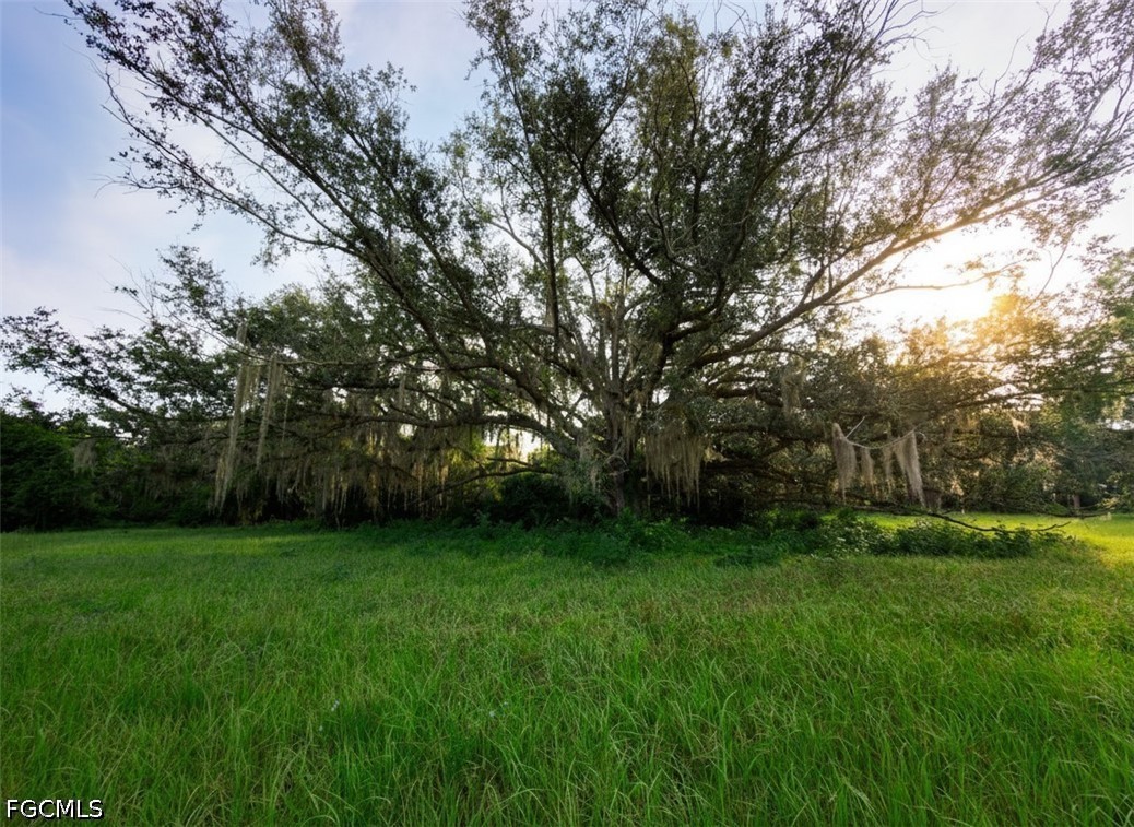 3291 Fort Denaud Road LaBelle, FL 33935 - Photo 21 of 25 Gallery Image 21