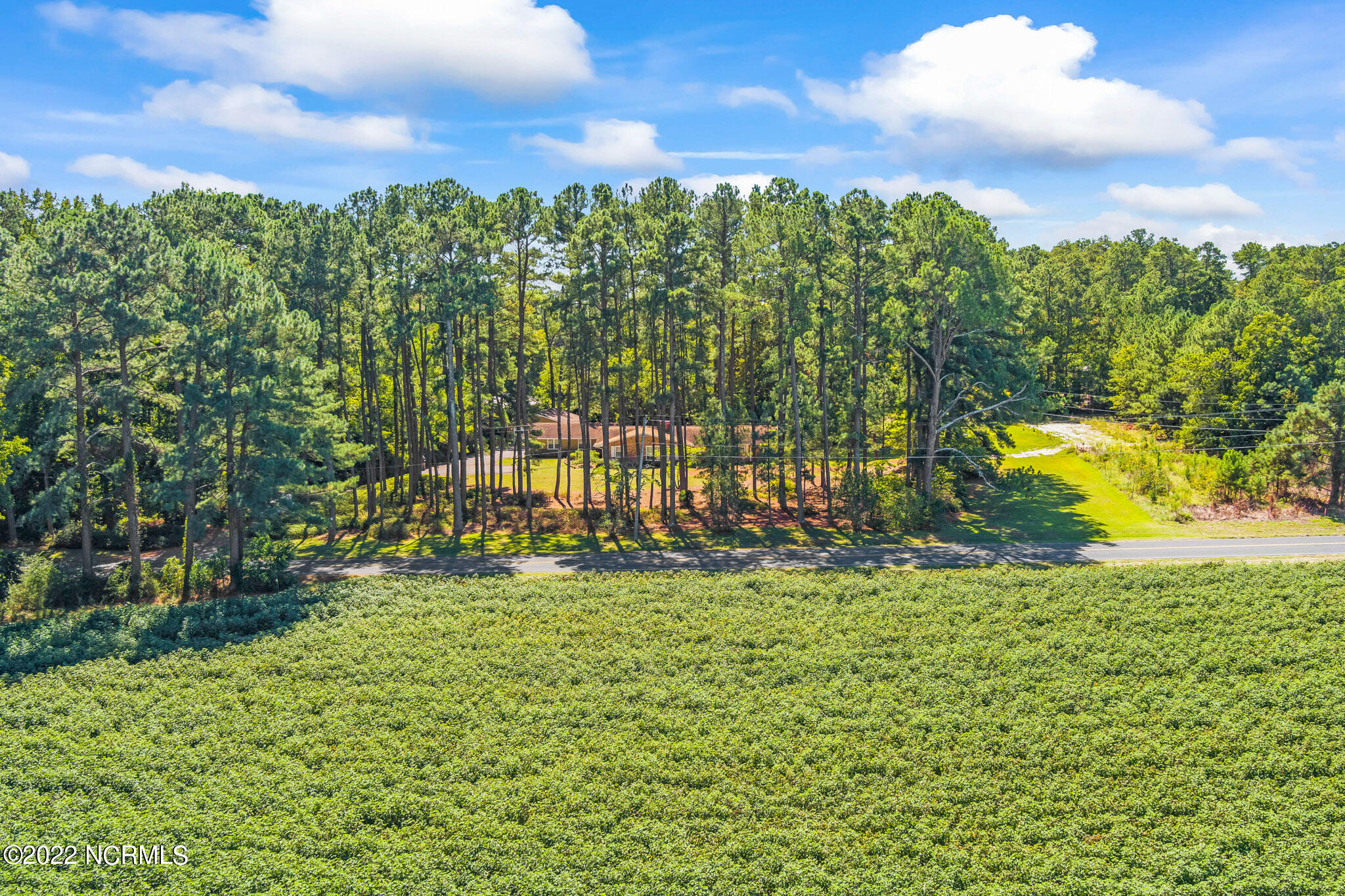 213 Red Hill Road Cameron, NC 28326 - Photo 4 of 61 291-MAX_0040