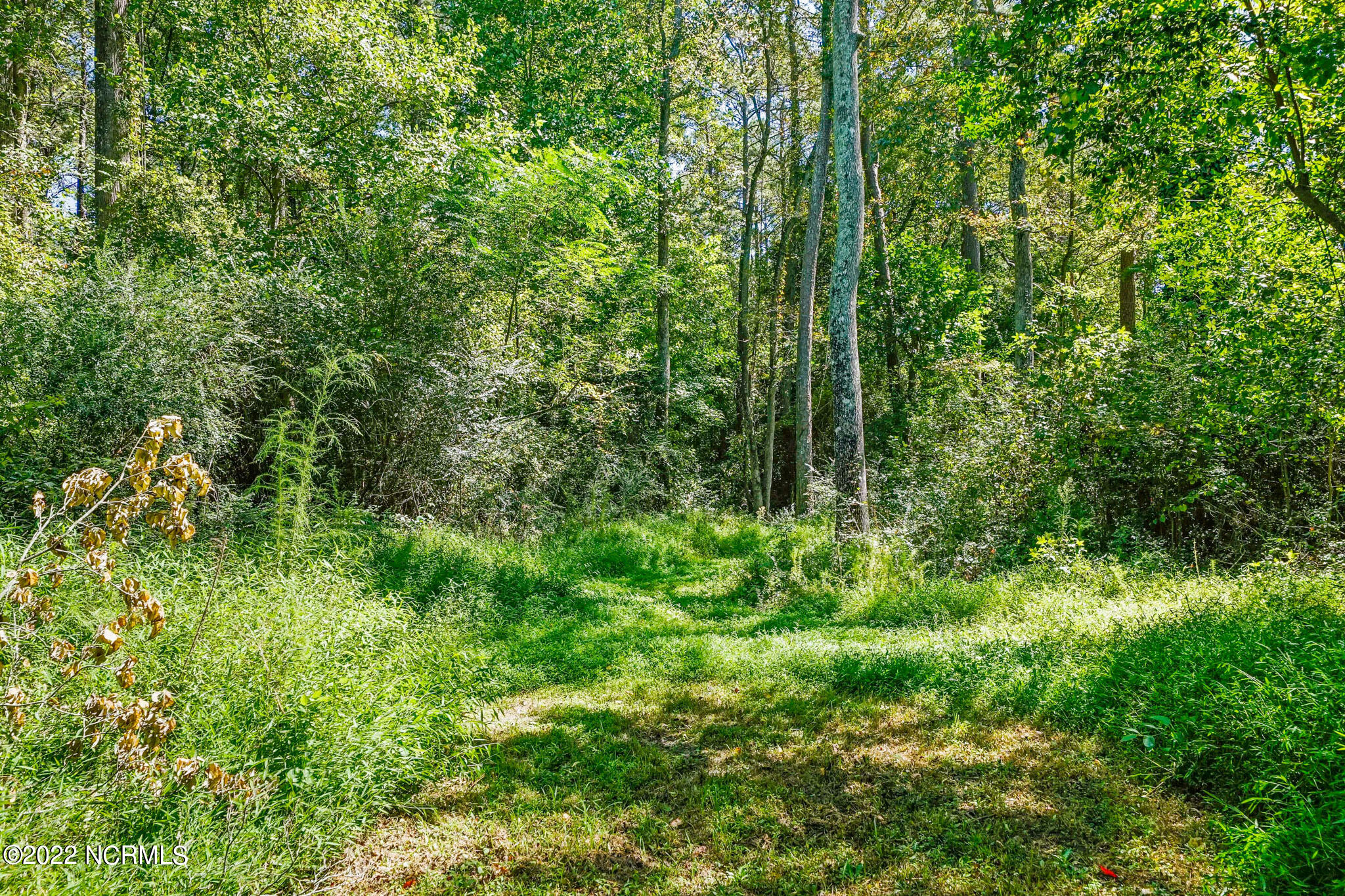 213 Red Hill Road Cameron, NC 28326 - Photo 56 of 61 278-_DSC1123