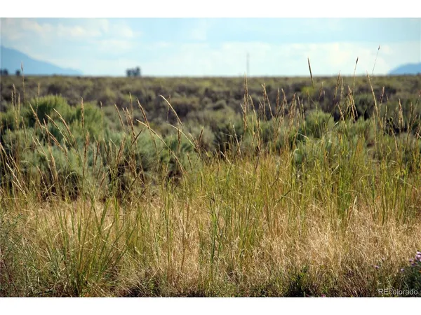 a view of a lush green field