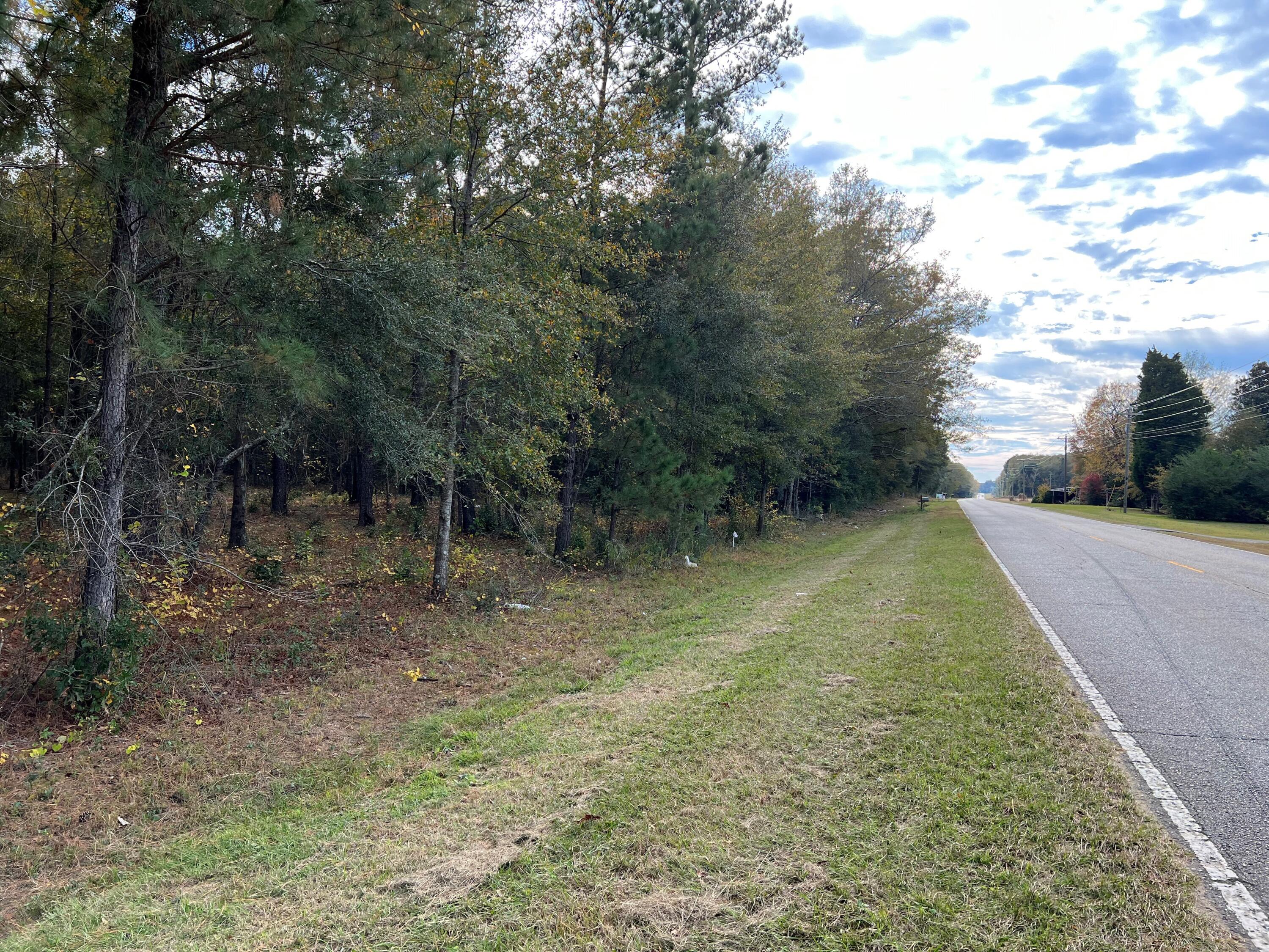 W2 Wagener Road, Unit 2 Wagener, SC 29164 - Photo 8 of 11