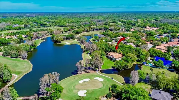 $7,000,000 | 1043 Guisando De Avila, Tampa, FL 33613