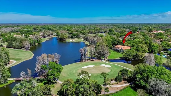 $7,000,000 | 1043 Guisando De Avila, Tampa, FL 33613