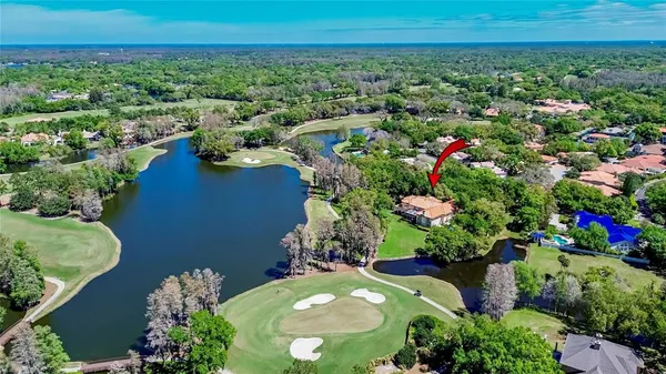 $7,000,000 | 1043 Guisando De Avila, Tampa, FL 33613