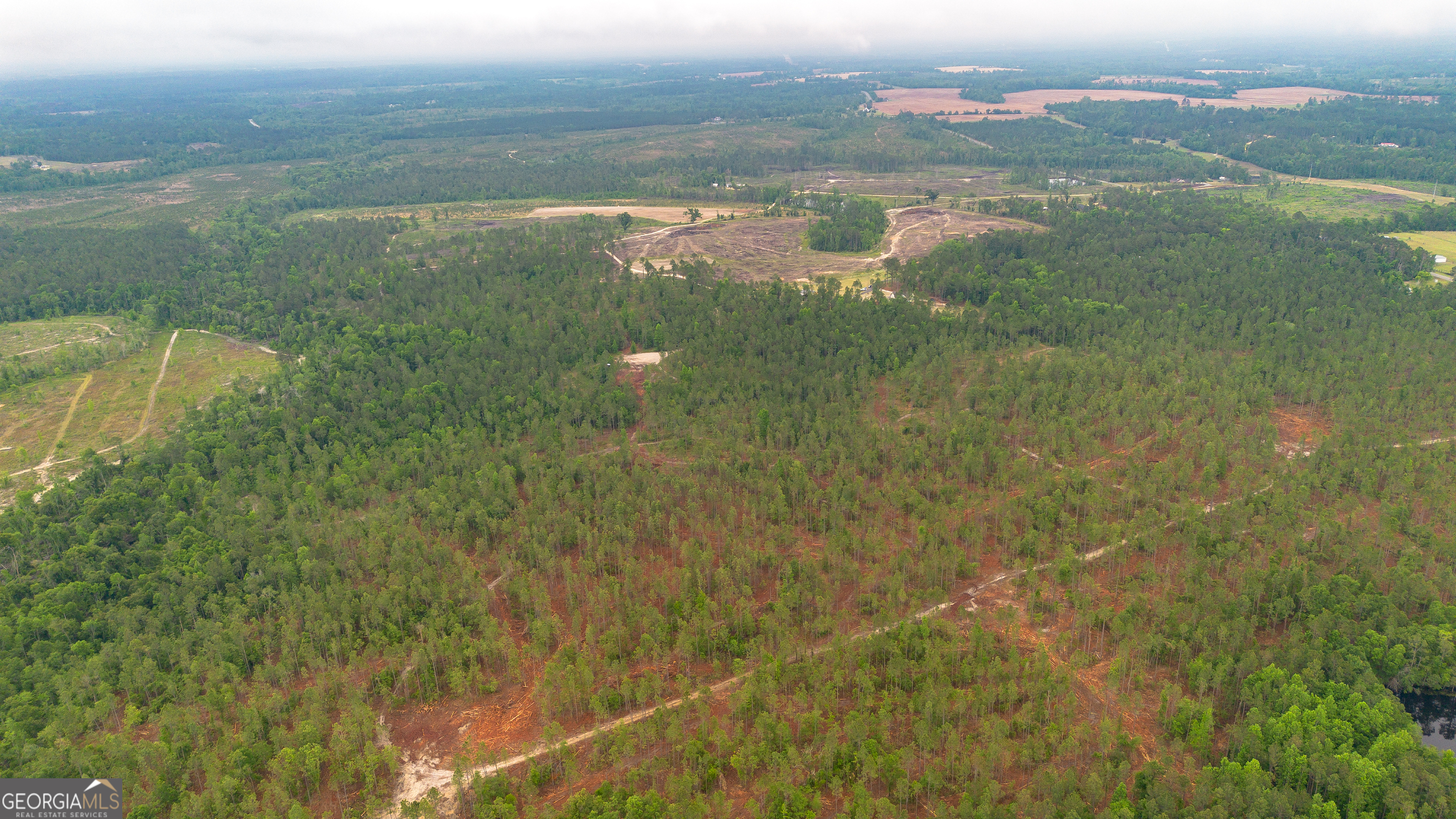 1065 Tarrytown Road Tarrytown, GA 30470 - Photo 117 of 130