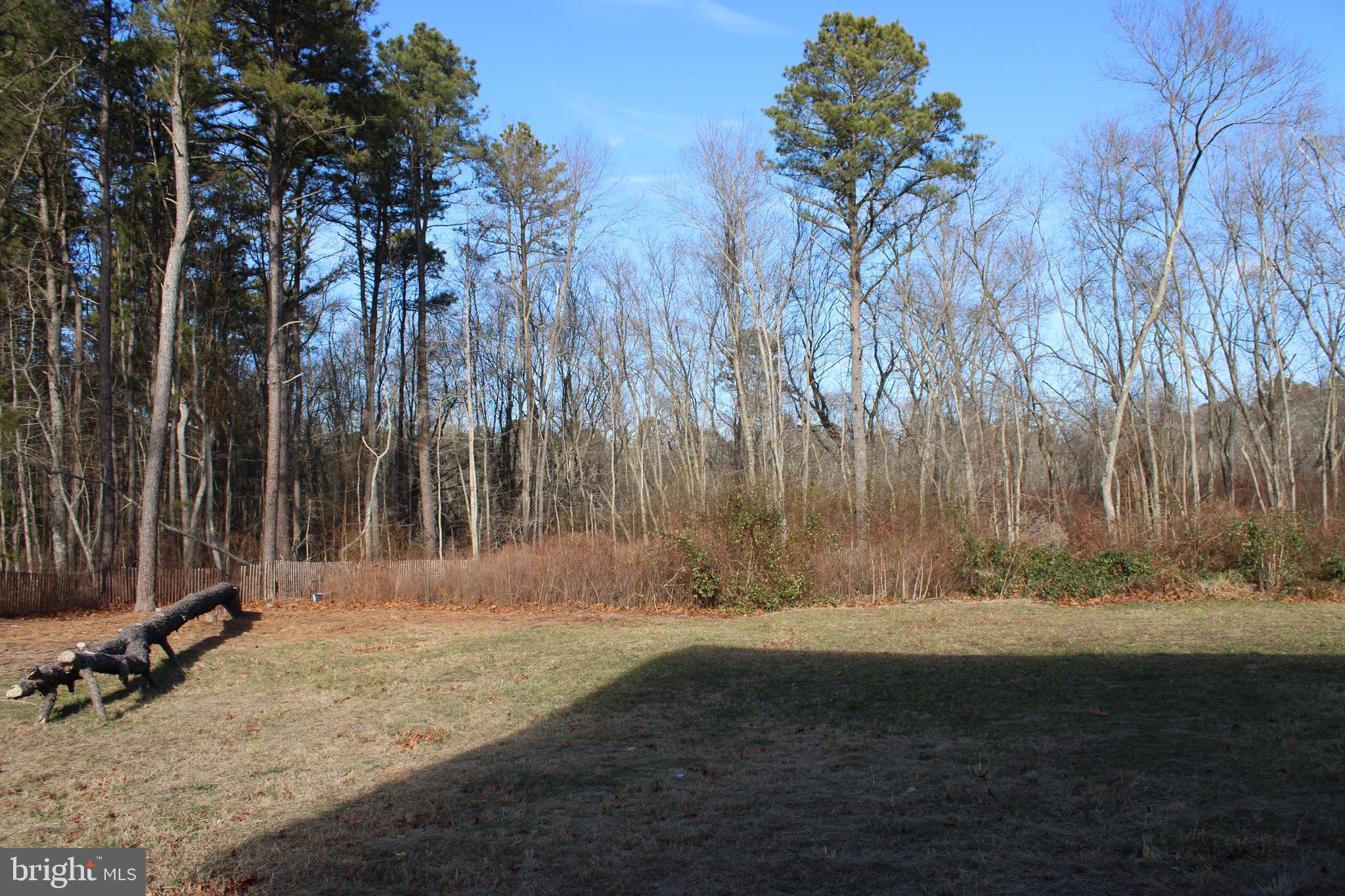 3908 Jackson Road Williamstown, NJ 08094 - Photo 17 of 21 a view of backyard space with trees