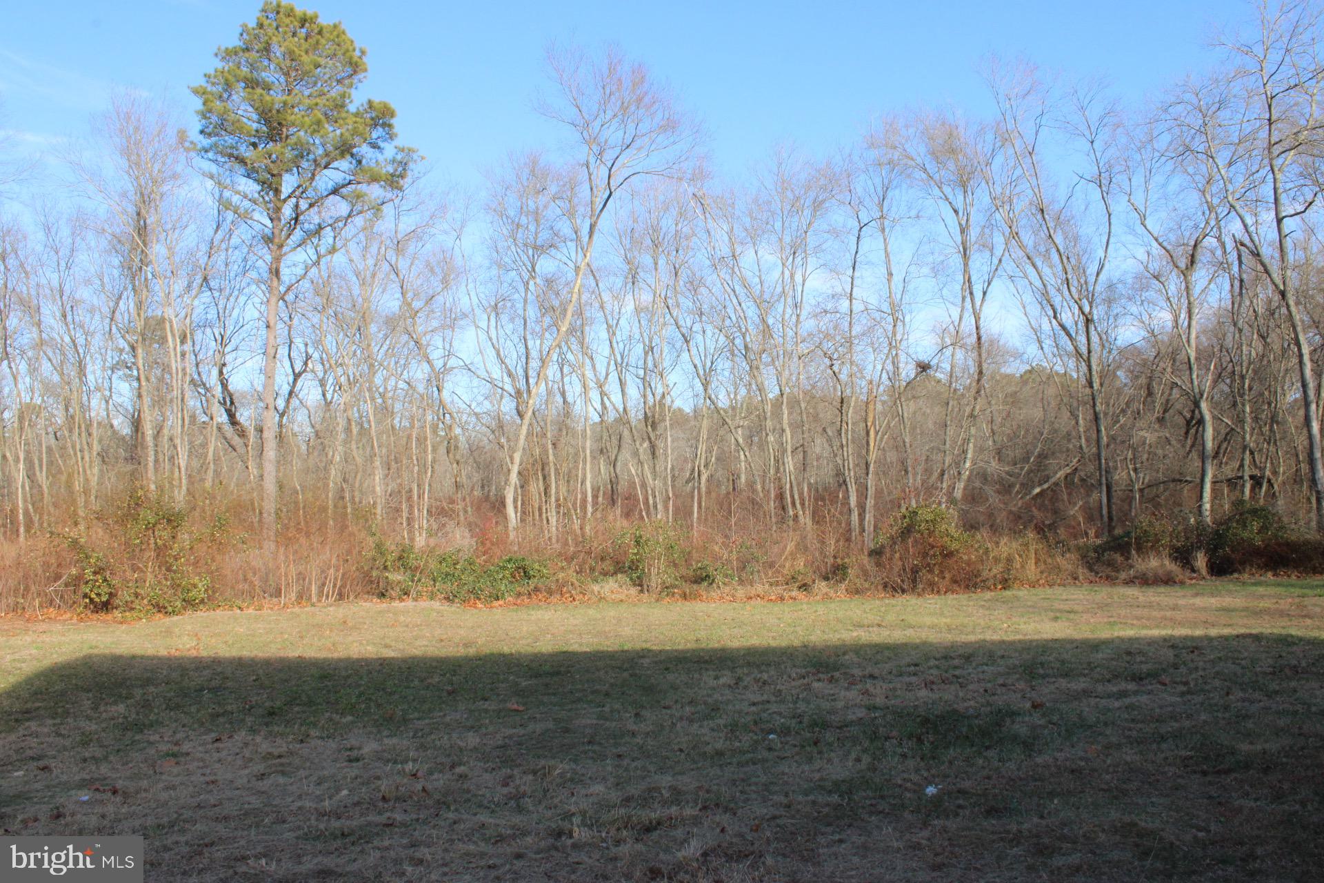 3908 Jackson Road Williamstown, NJ 08094 - Photo 19 of 21 a view of dirt field with trees