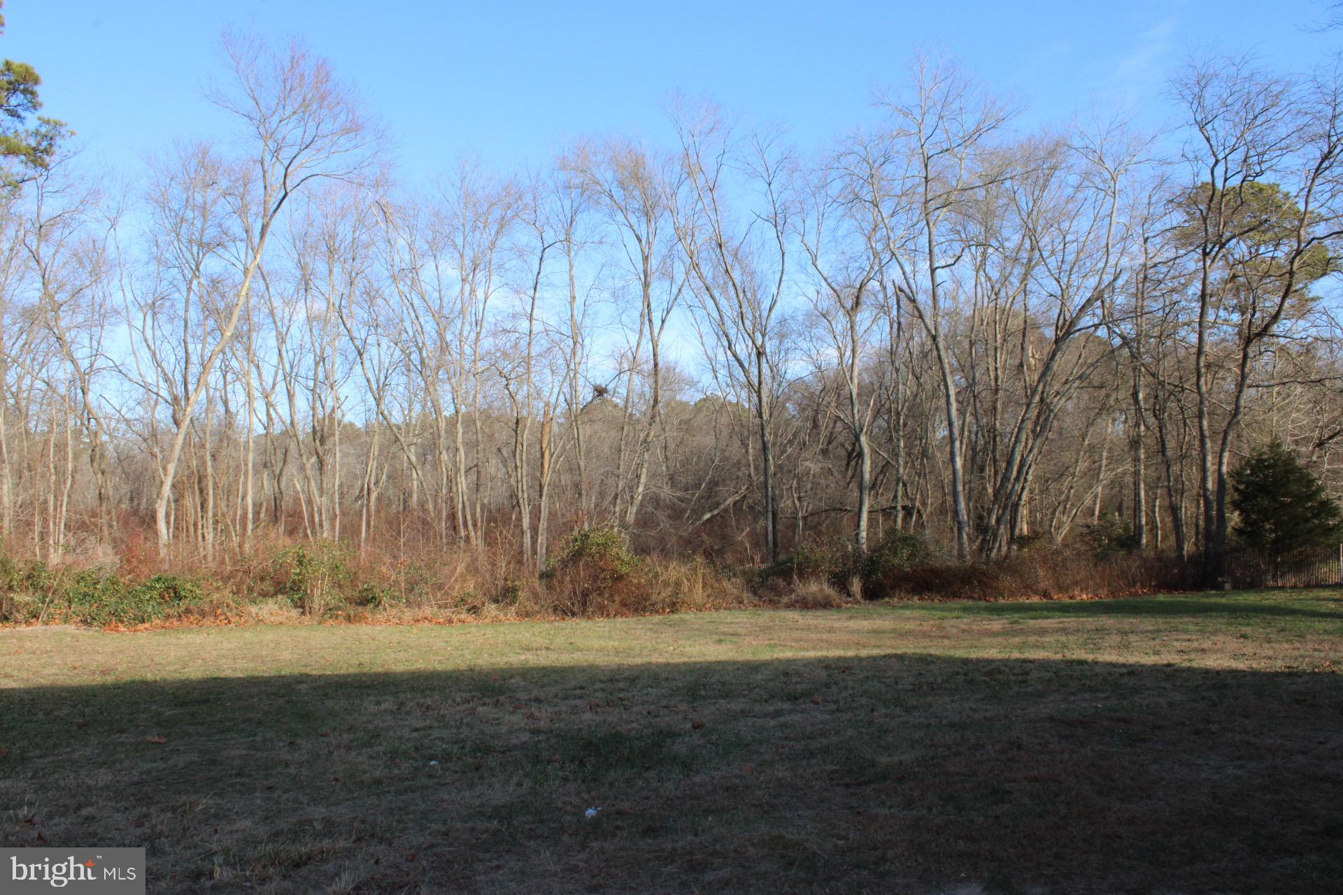 3908 Jackson Road Williamstown, NJ 08094 - Photo 20 of 21 a view of park space