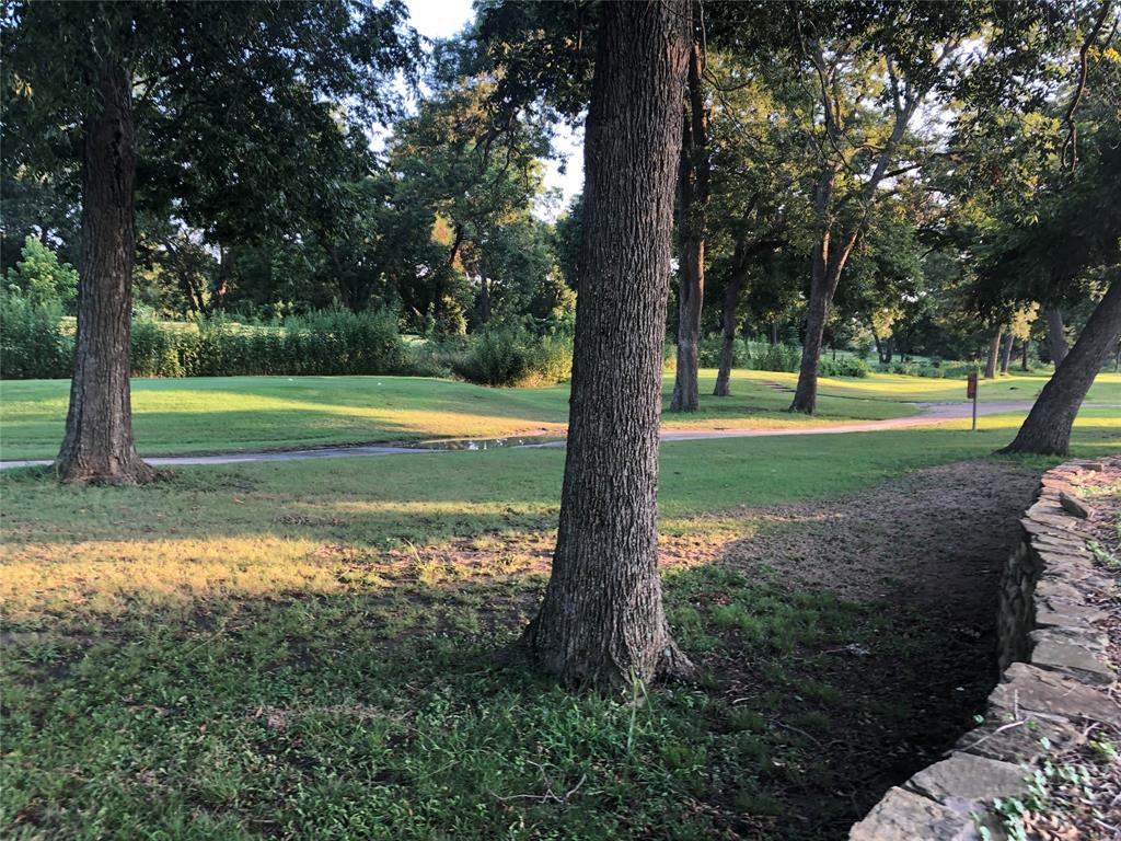 1300 Pioneer Trail Bonham, TX 75418 - Photo 1 of 6 a view of a yard with a tree