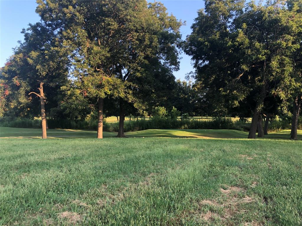 1300 Pioneer Trail Bonham, TX 75418 - Photo 3 of 6 a view of a trees in a park