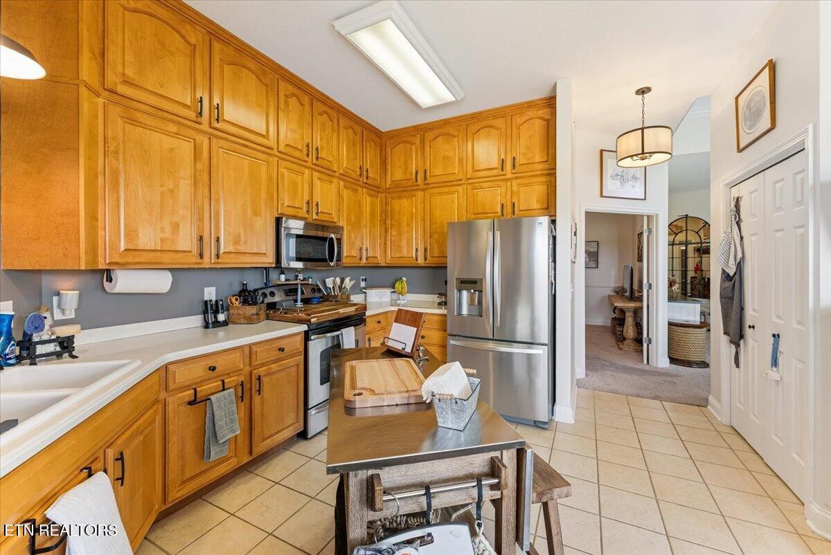 535 Rarity Bay Parkway, Unit D301 Vonore, TN 37885 - Photo 13 of 33