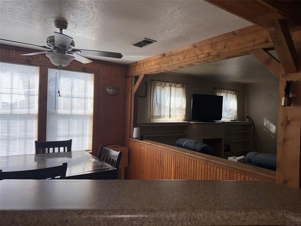 307 Cedar Street Palo Pinto, TX 76484 - Photo 12 of 29