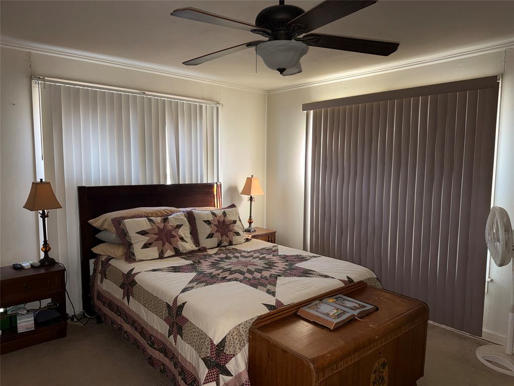 307 Cedar Street Palo Pinto, TX 76484 - Photo 16 of 29