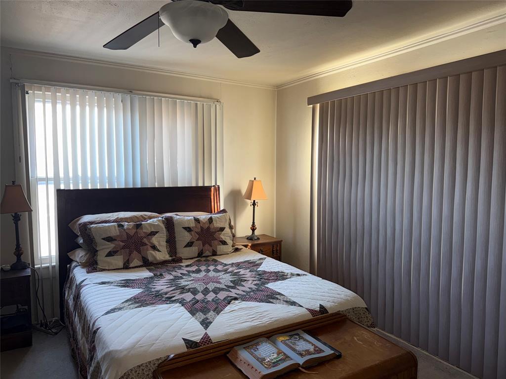 307 Cedar Street Palo Pinto, TX 76484 - Photo 18 of 29