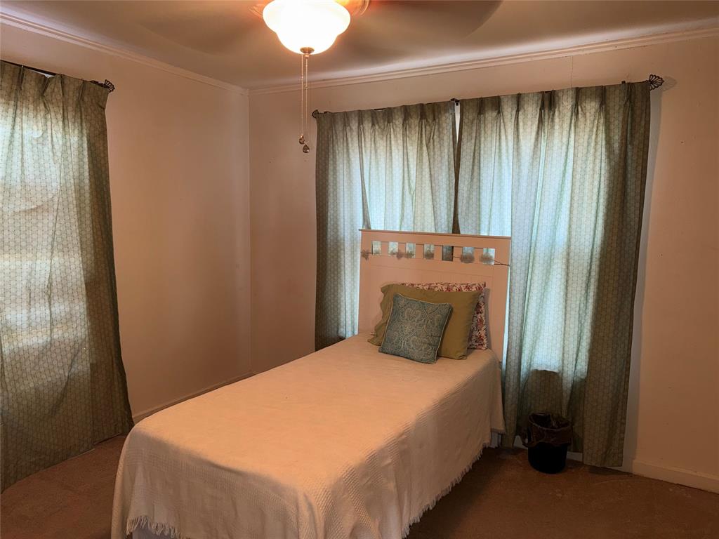 307 Cedar Street Palo Pinto, TX 76484 - Photo 22 of 29