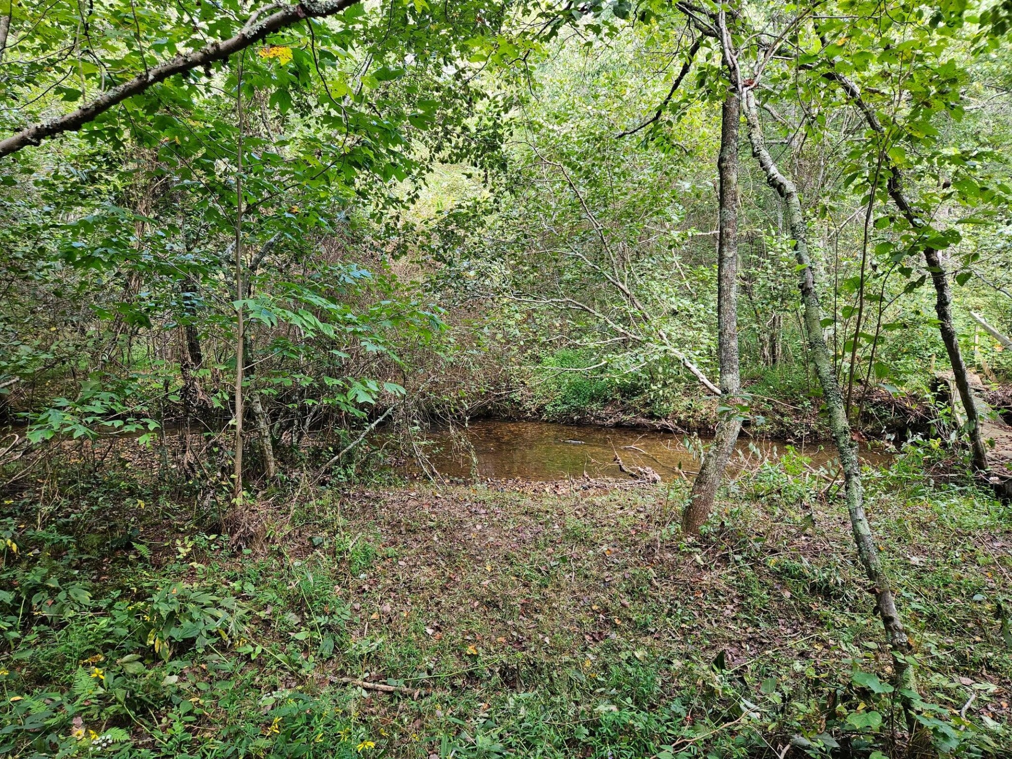 0 Golf Course Road Copperhill, TN 37317 - Photo 1 of 7 a view of lake with green space