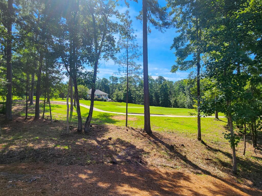 222 Louisa Lane McCormick, SC 29835 - Photo 34 of 42 41