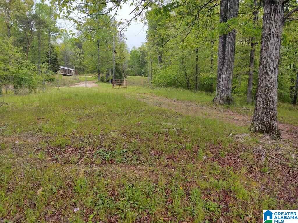 1122 Shortown Branch Road, Unit 107A Bessemer, AL 35023 - Photo 9 of 30