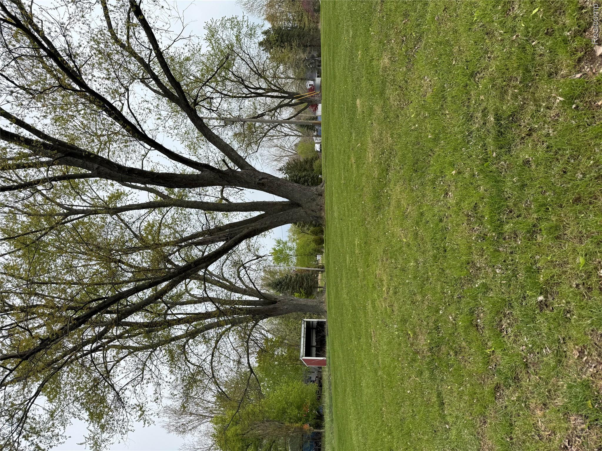 1412 South Byron Road Lennon, MI 48449 - Photo 21 of 22 View of grassy yard featuring an outdoor structure