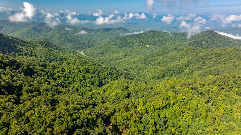 0 East Alarka Road Bryson City, NC 28713 - Photo 13 of 28