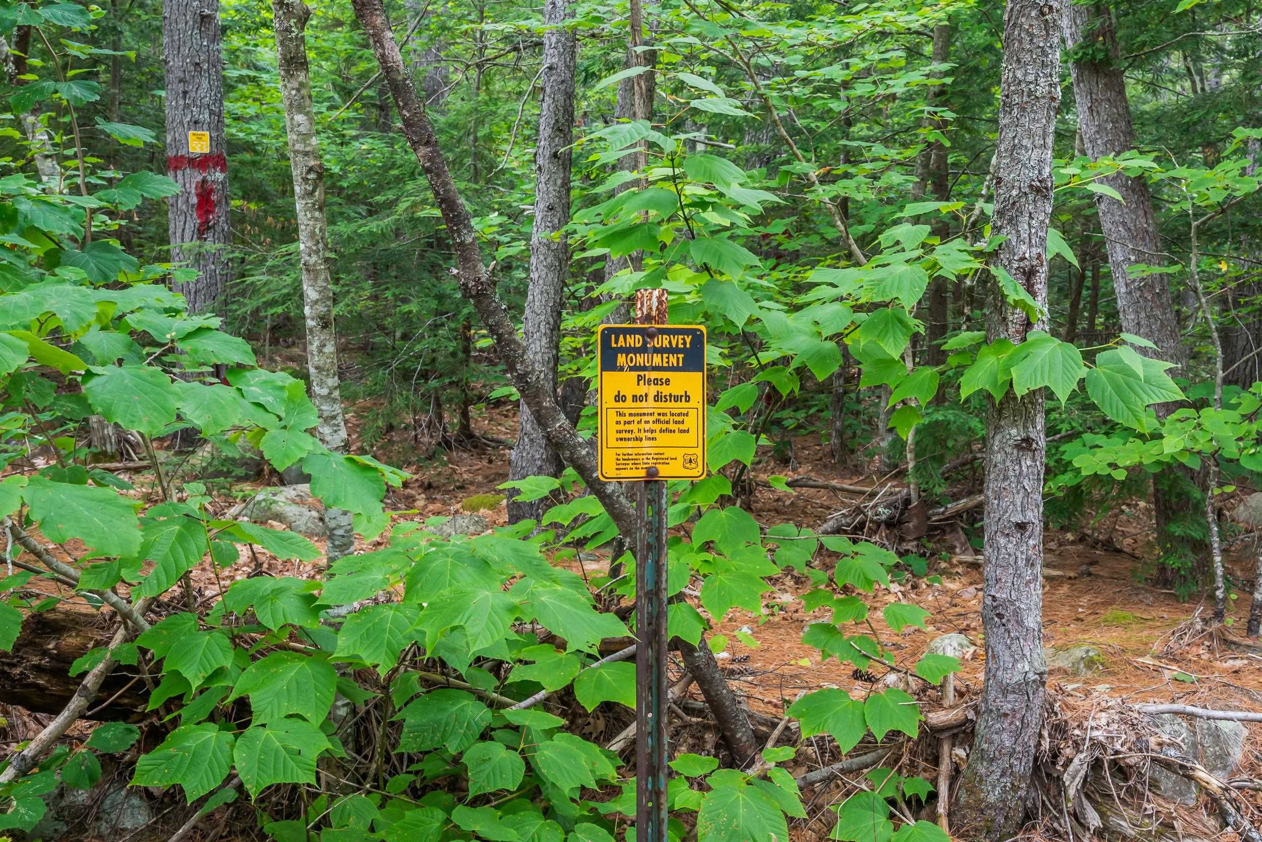 46 Johnson Road Albany, NH 03818 - Photo 13 of 42