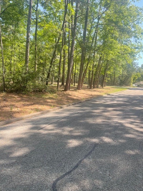 26705 Maple Street Oakhurst, TX 77359 - Photo 2 of 17