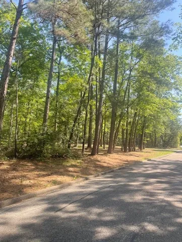 $11,000 | 26705 Maple Street, Oakhurst, TX 77359