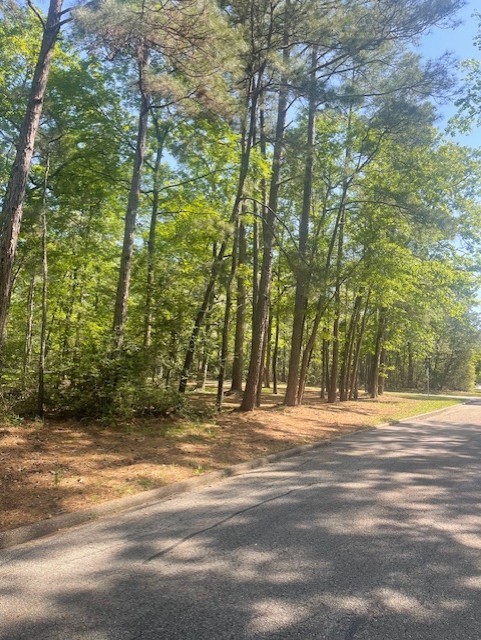 26705 Maple Street Oakhurst, TX 77359 - Photo 3 of 17