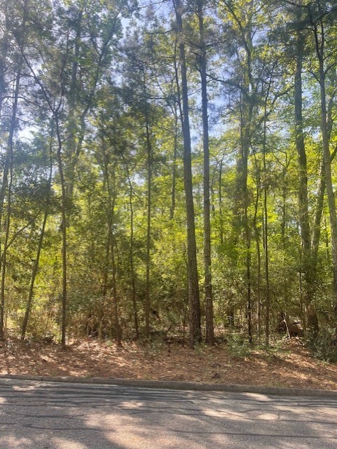 26705 Maple Street Oakhurst, TX 77359 - Photo 5 of 17