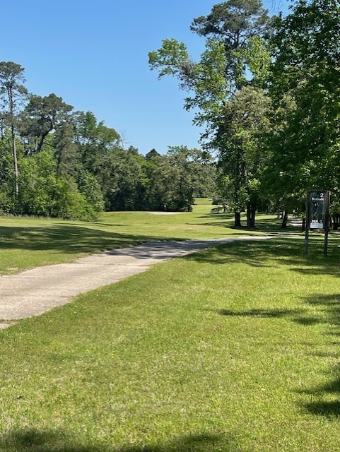 26705 Maple Street Oakhurst, TX 77359 - Photo 8 of 17