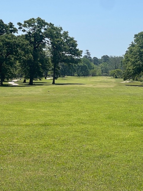 26705 Maple Street Oakhurst, TX 77359 - Photo 9 of 17