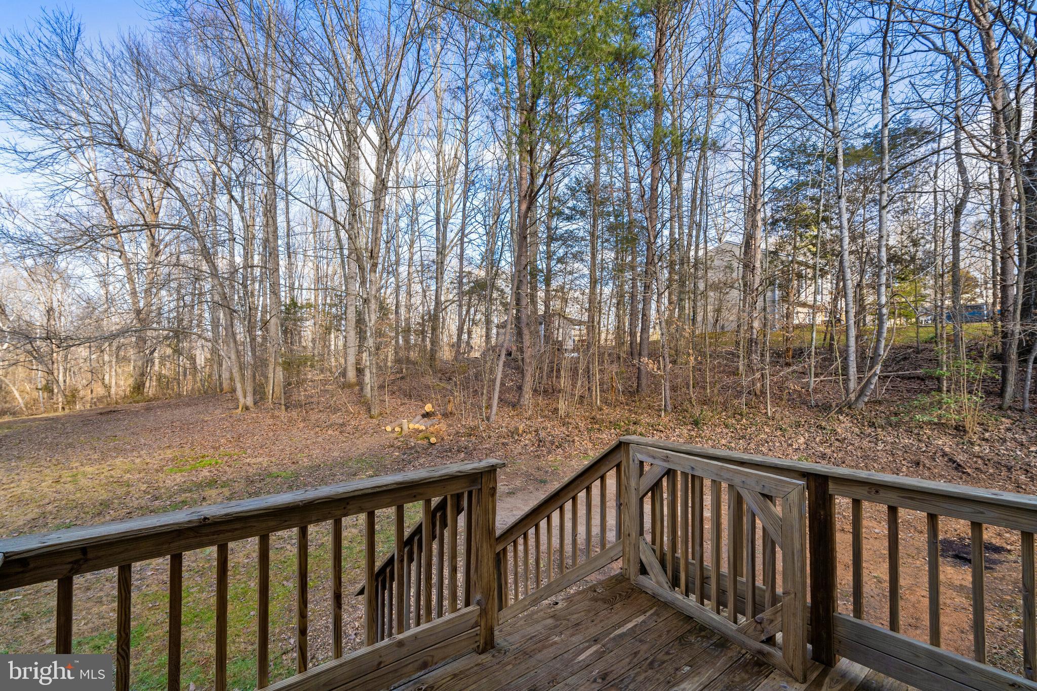 14553 Thickett Ridge Lane Rixeyville, VA 22737 - Photo 27 of 33 Gallery Image 27