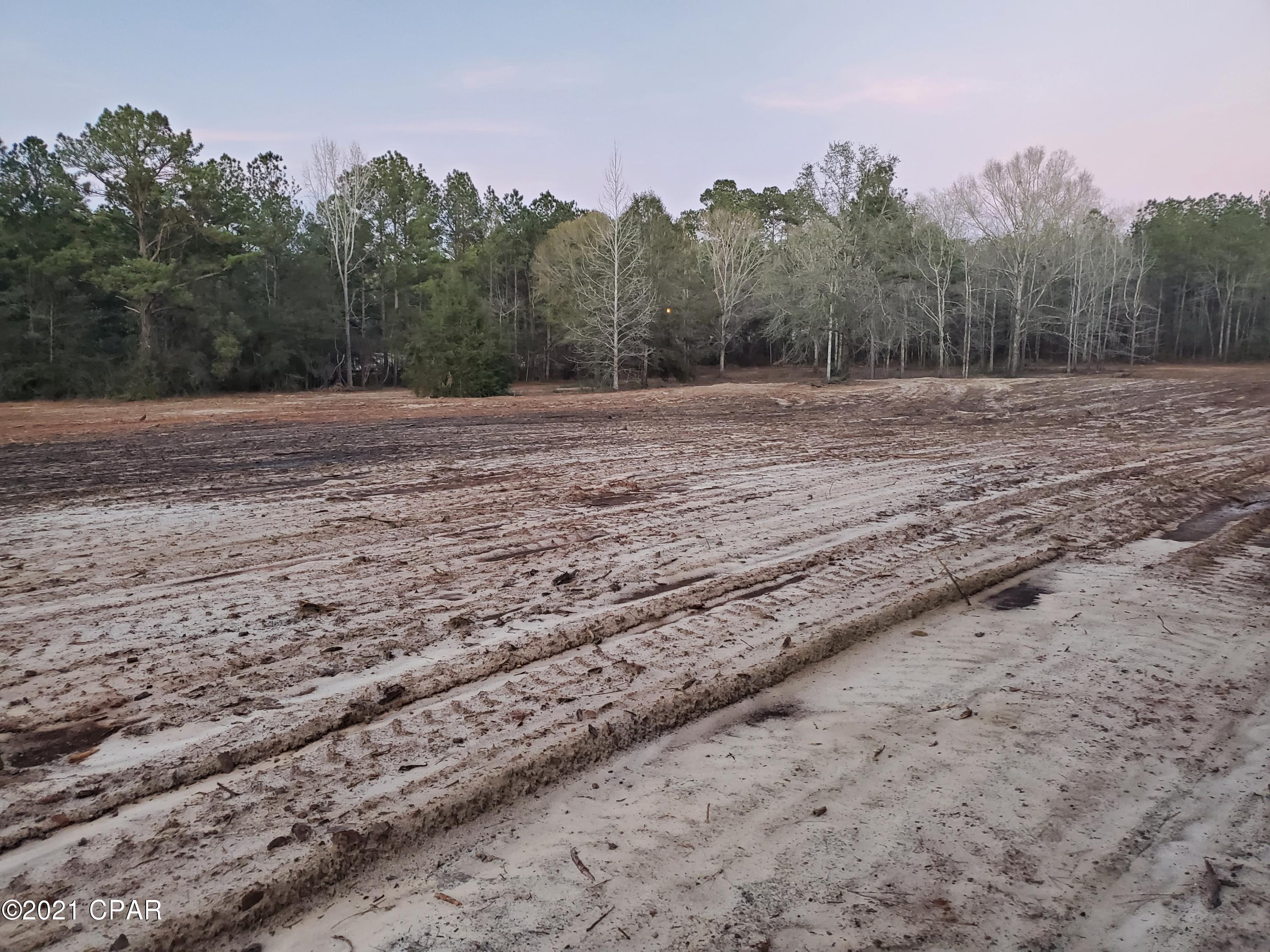 2991 Sylvania Road Vernon, FL 32462 - Photo 3 of 6 Gallery Image 3