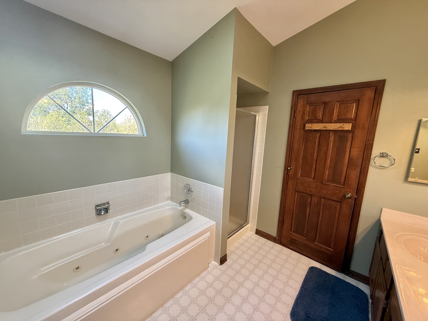 721 Mohican Trail Lake In The Hills, IL 60156 - Photo 11 of 20 a bathroom with a bathtub and a window