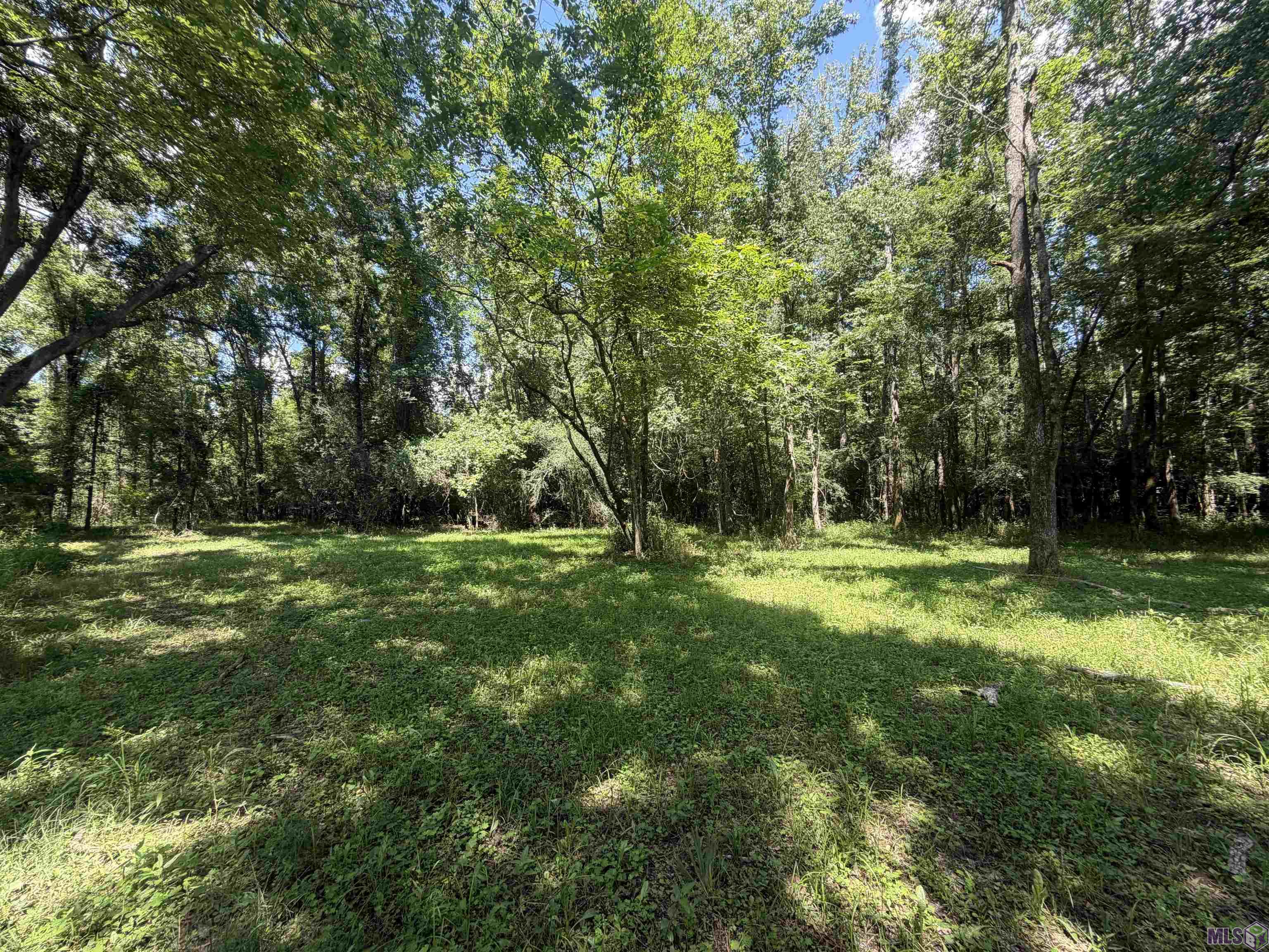 24632 Brian Road Zachary, LA 70791 - Photo 31 of 35