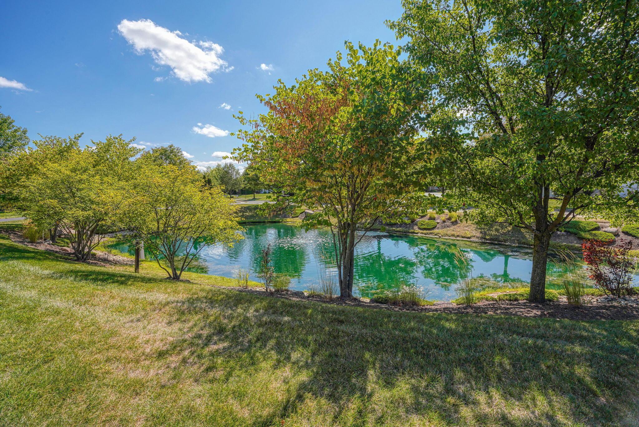 6931 Rothwell Street New Albany, OH 43054 - Photo 56 of 58 Community pond