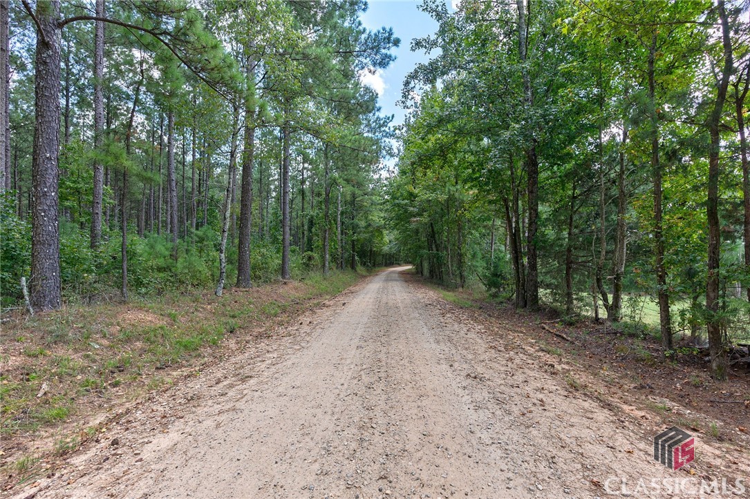 0 Paradise Hogan Road Lexington, GA 30648 - Photo 20 of 38